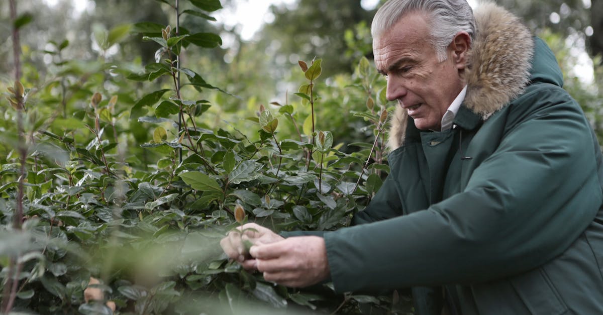 How to Create a Daily Nature-Based Gratitude Practice That Actually Sticks