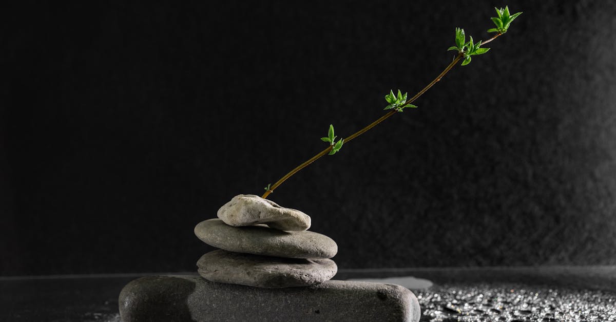 Discovering Your Life Calling Through Daily Journaling Practices