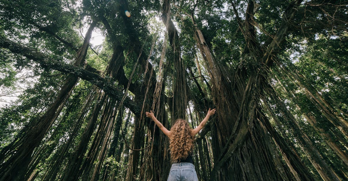 How to Use Forest Bathing to Calm an Overloaded Nervous System