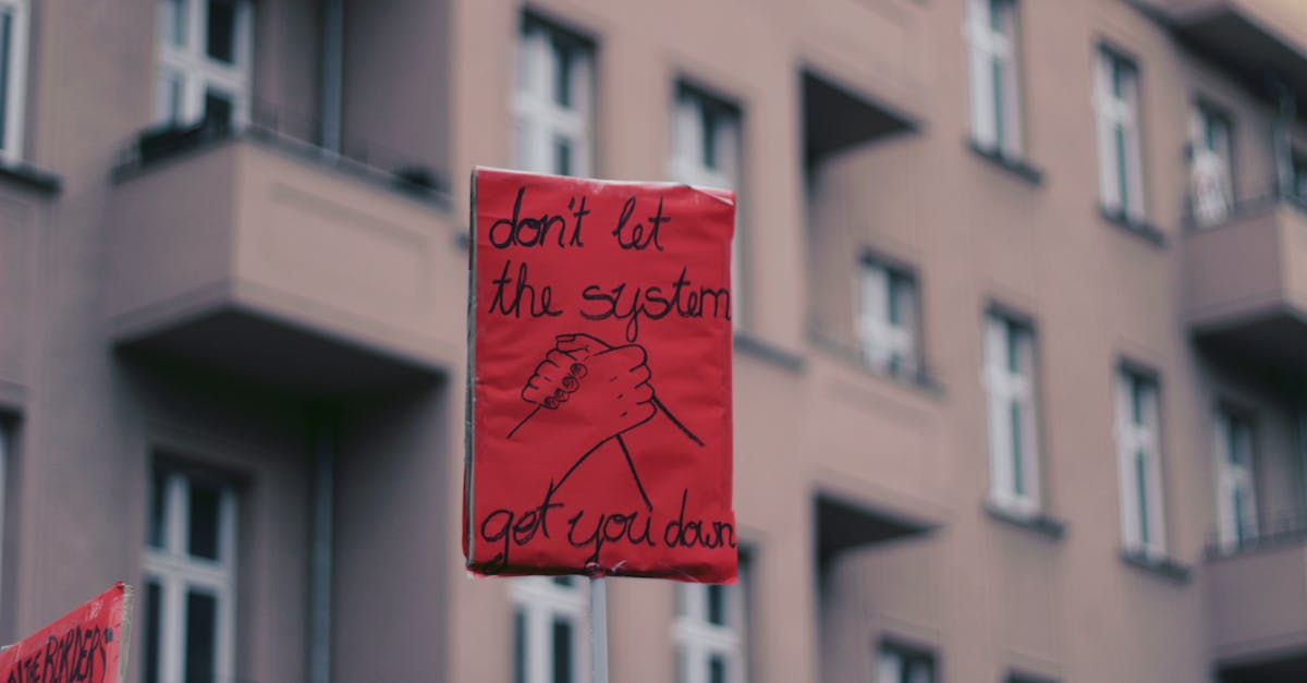 How Can I Be an Activist Without Burning Out My Nervous System?