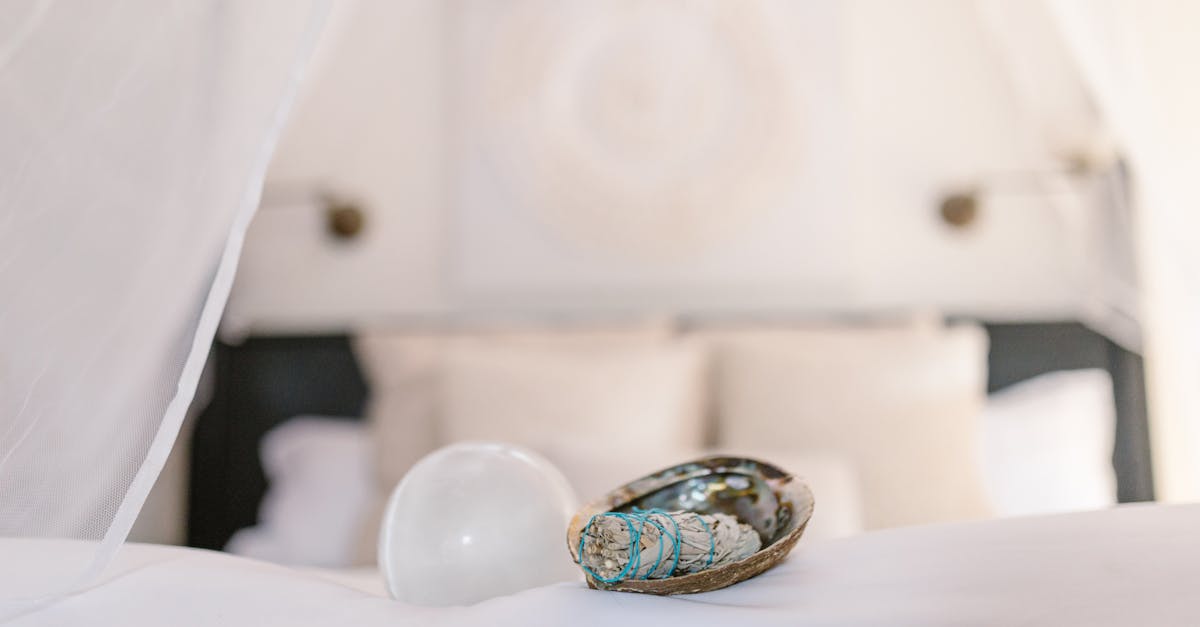 Smudging with Sage: Reduce Chronic Stress and Pain in Daily Life