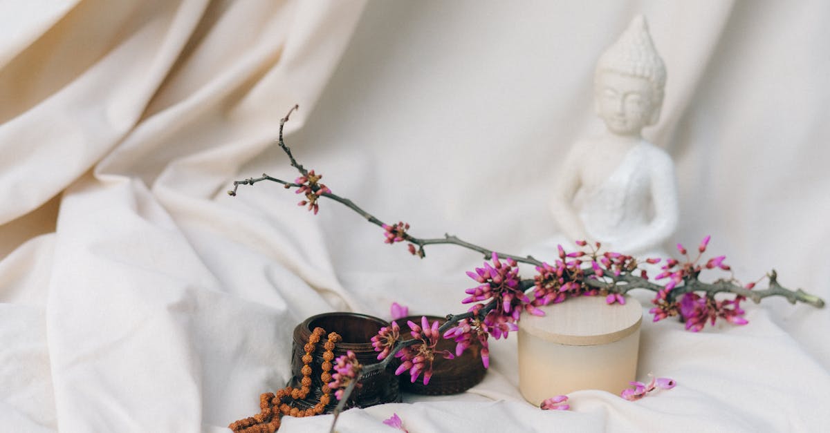 Spiritual Gardening: Daily Practices to Integrate Ayahuasca Insights and Rewire Negative Thought Loops