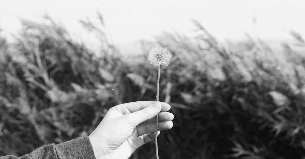 How Can I Use Wu Wei to Stop Overworking and Heal From Burnout?