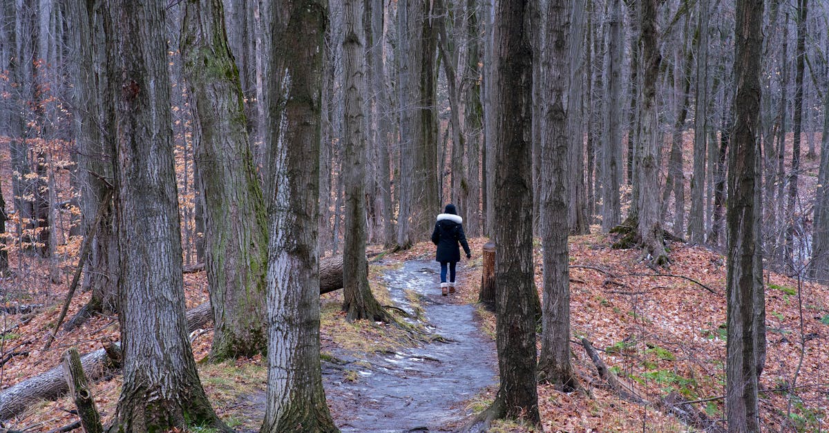 5-Step Walking Meditation to Reduce Daily Stress and Boost Groundedness