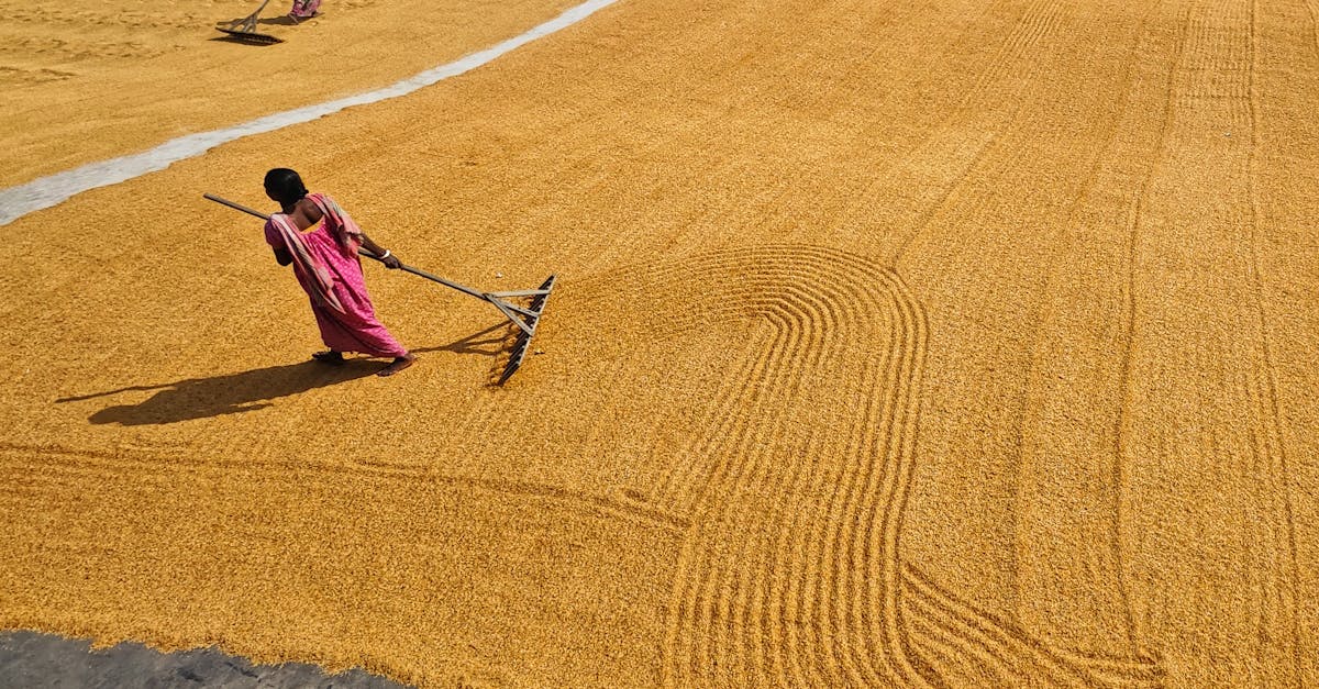 Shadow Work for People-Pleasers: Reclaim Yourself in Love and Life