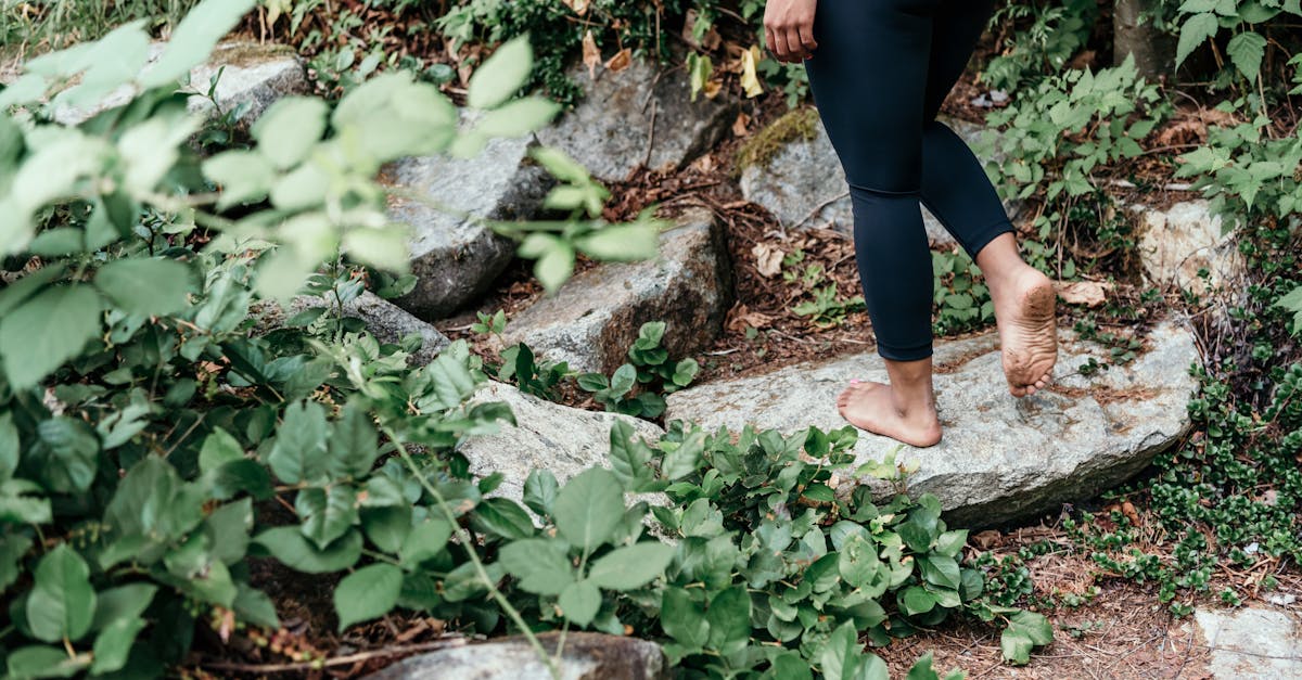 5-Step Walking Meditation to Reduce Daily Stress and Arrive Grounded