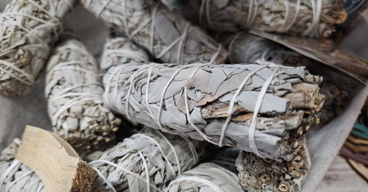 Smudging with Sage to Reduce Chronic Stress and Pain: Blackfoot-Inspired Daily Rituals